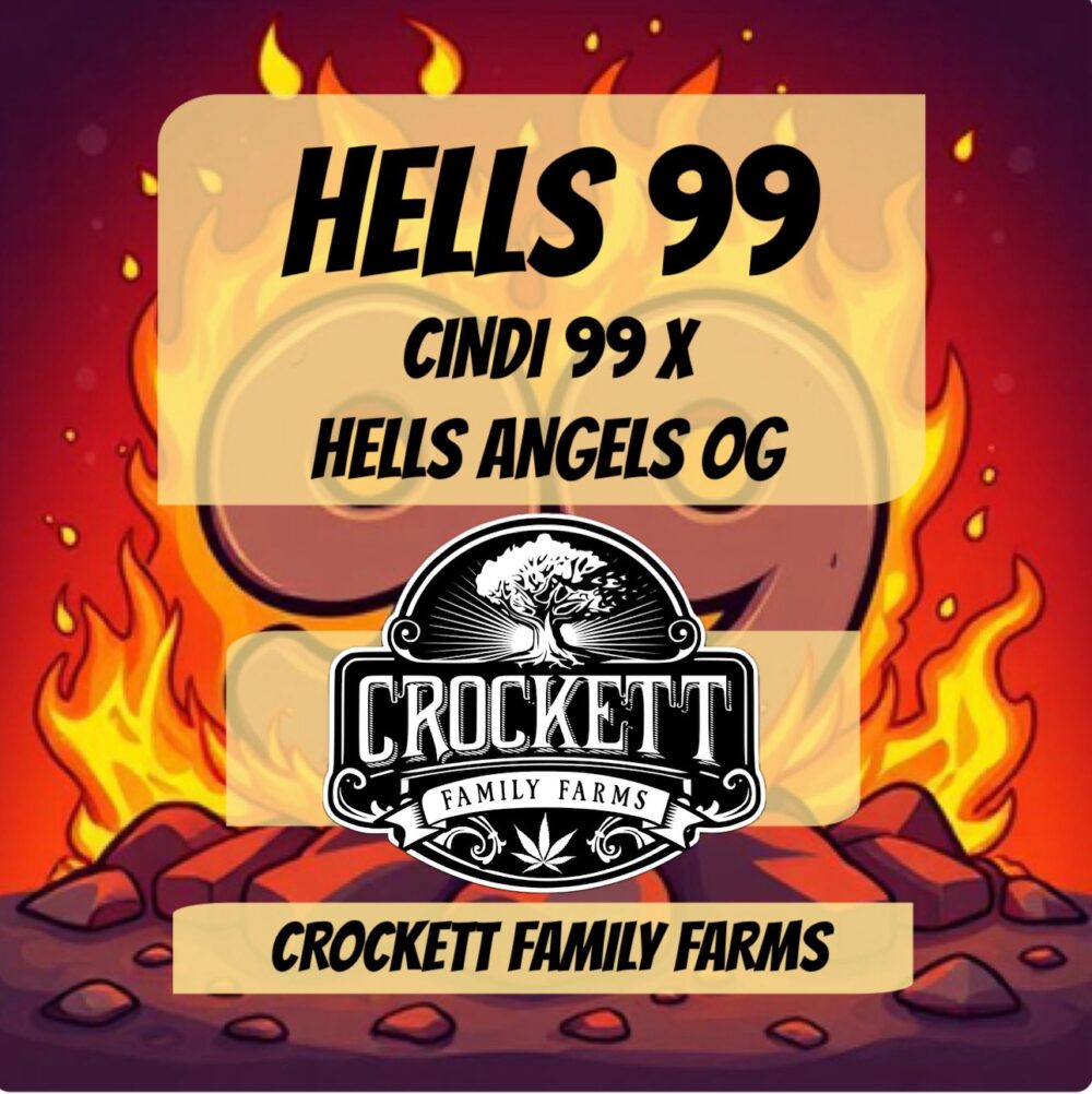 HELLS 99