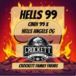 HELLS 99