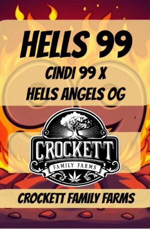 HELLS 99