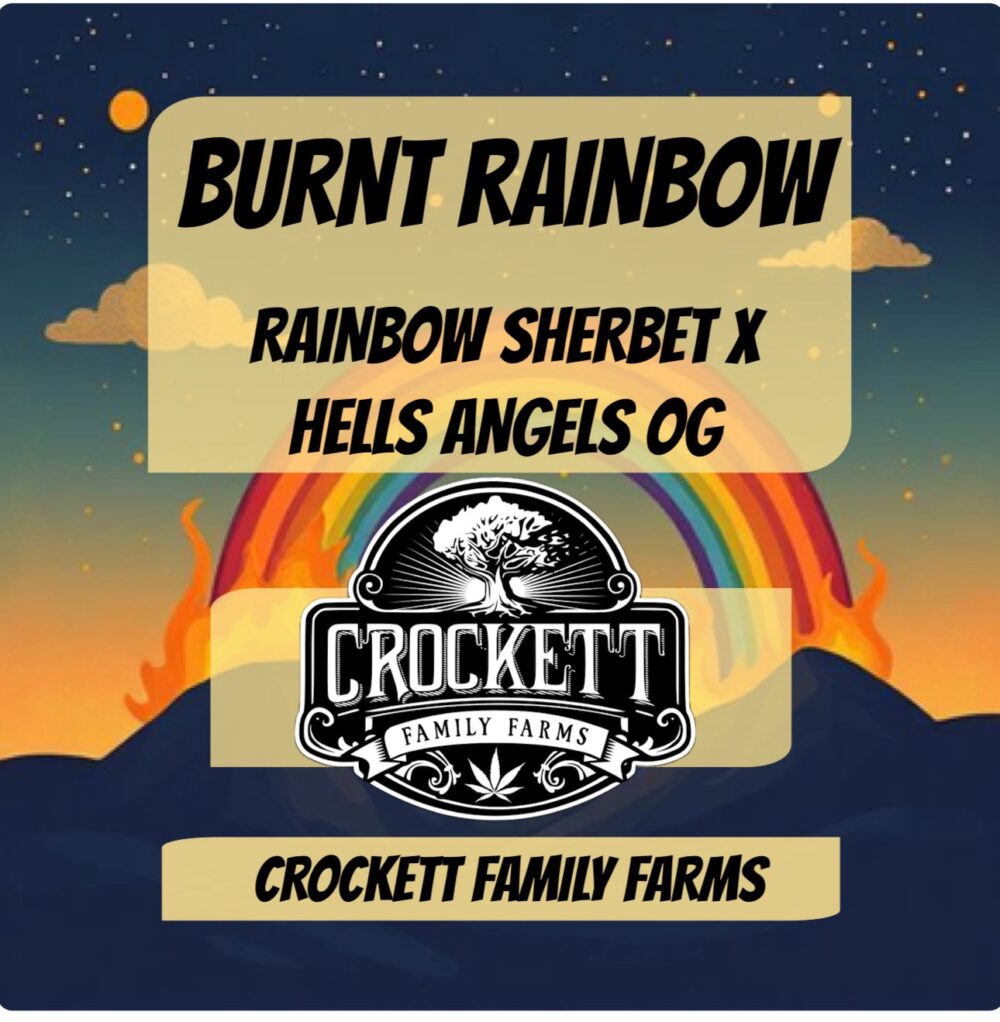 BURNT RAINBOW