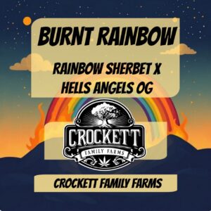 BURNT RAINBOW