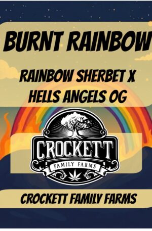 BURNT RAINBOW