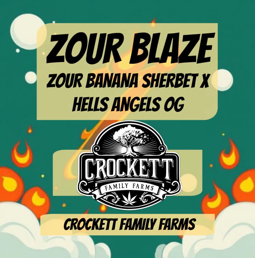 ZOUR BLAZE
