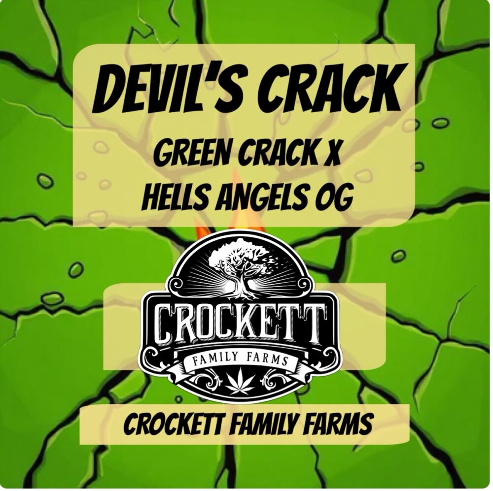 DEVIL’S CRACK