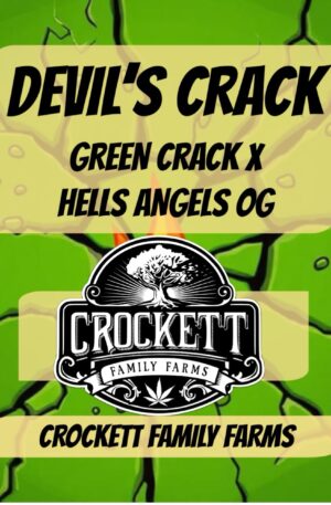 DEVIL’S CRACK