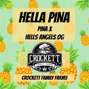 HELLA PINA