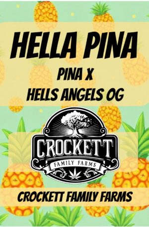 HELLA PINA