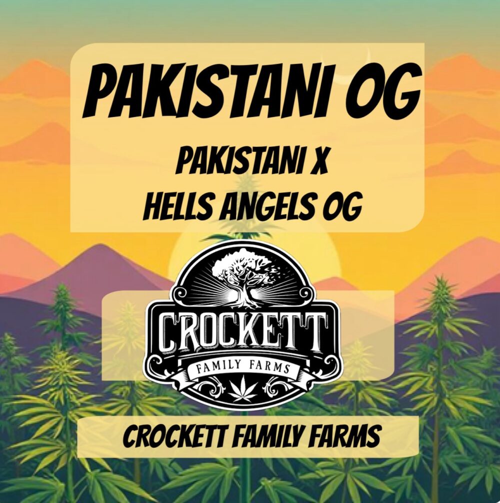 PAKISTANI OG