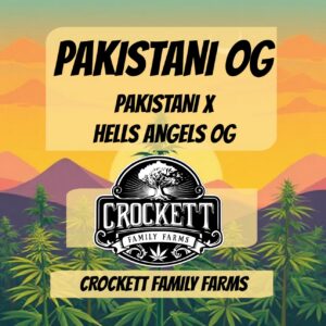 PAKISTANI OG