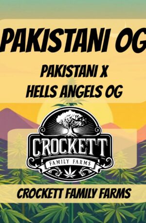 PAKISTANI OG