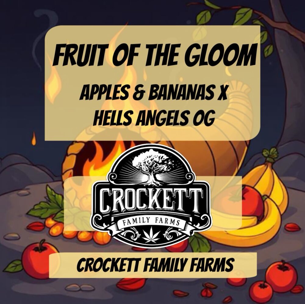 FRUIT OF THE GLOOM