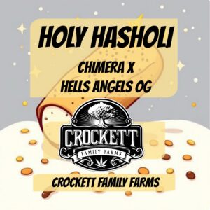 HOLY HASHOLI