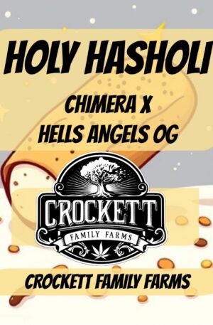 HOLY HASHOLI