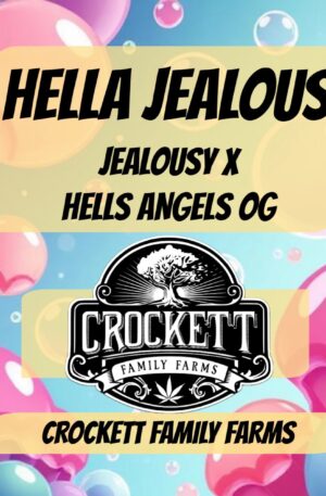 HELLA JEALOUS