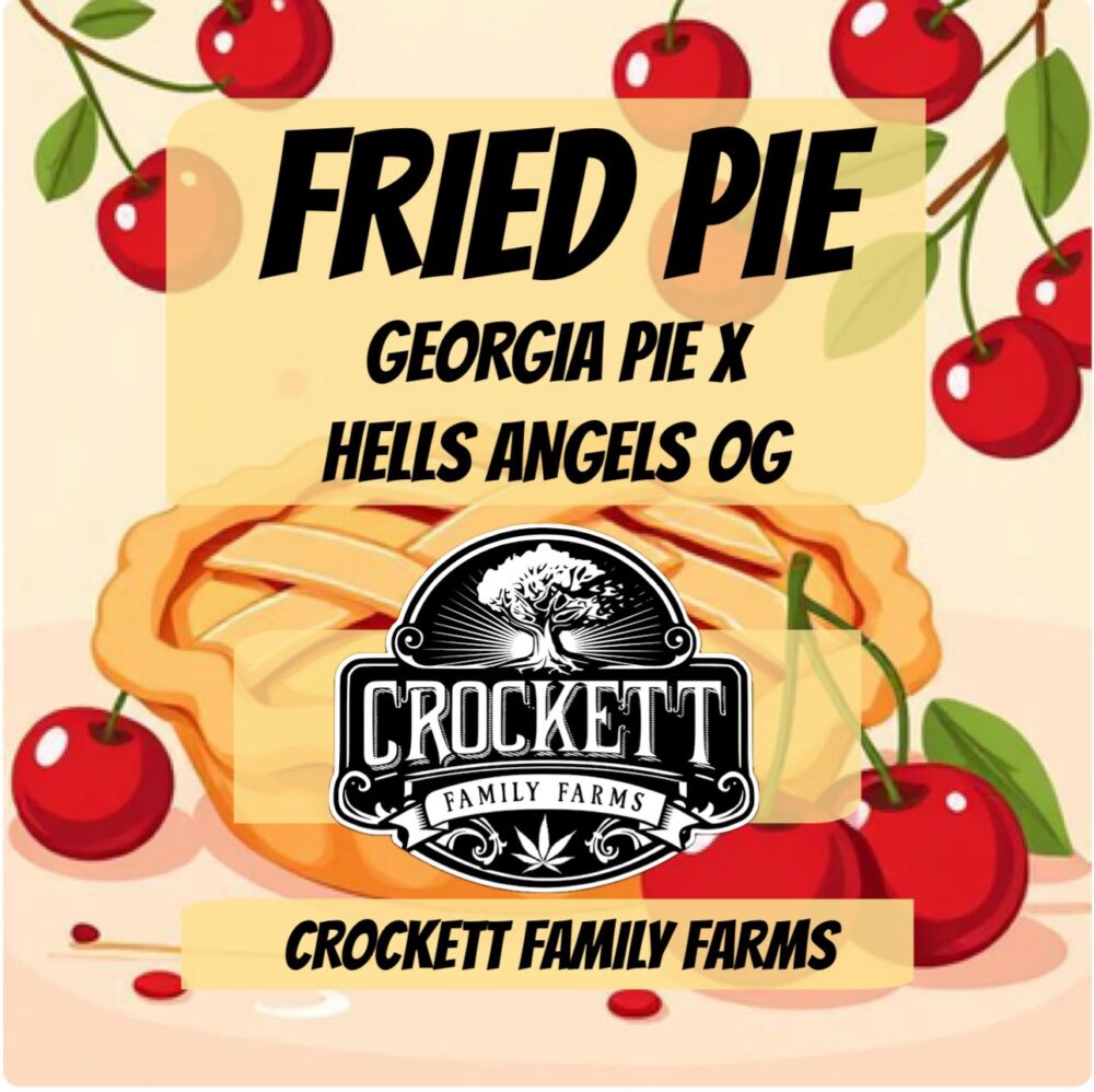 FRIED PIE