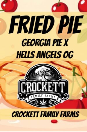 FRIED PIE