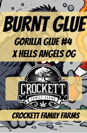 BURNT GLUE