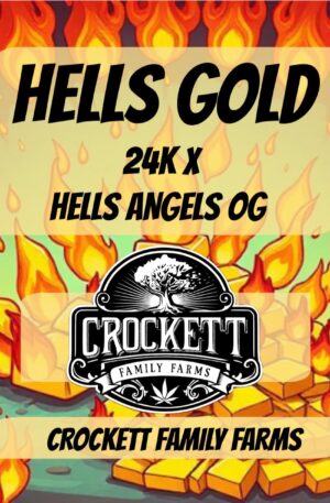 HELLS GOLD
