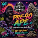 PRE-90 APE