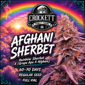 AFGHANI SHERBET