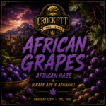 AFRICAN GRAPES