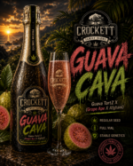 GUAVA CAVA