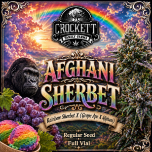 AFGHANI SHERBET