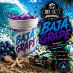 BAJA GRAPE