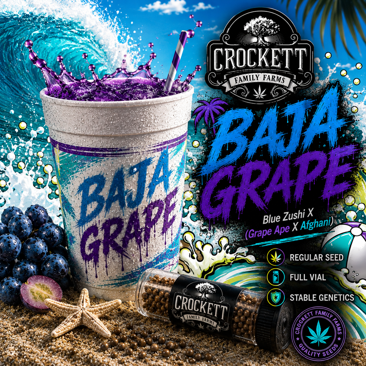 b3f06b84-89f2-44e7-8fb1-f5f48a347692 BAJA GRAPE - Image 1