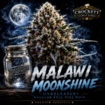 Malawi Moonshine