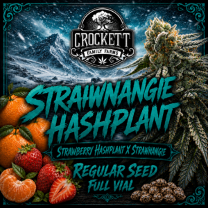 STRAWNANGIE HASHPLANT