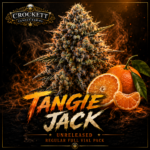 TANGIE JACK