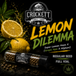 LEMON DILEMMA