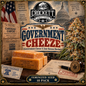 GOVERNMENT CHEEZE